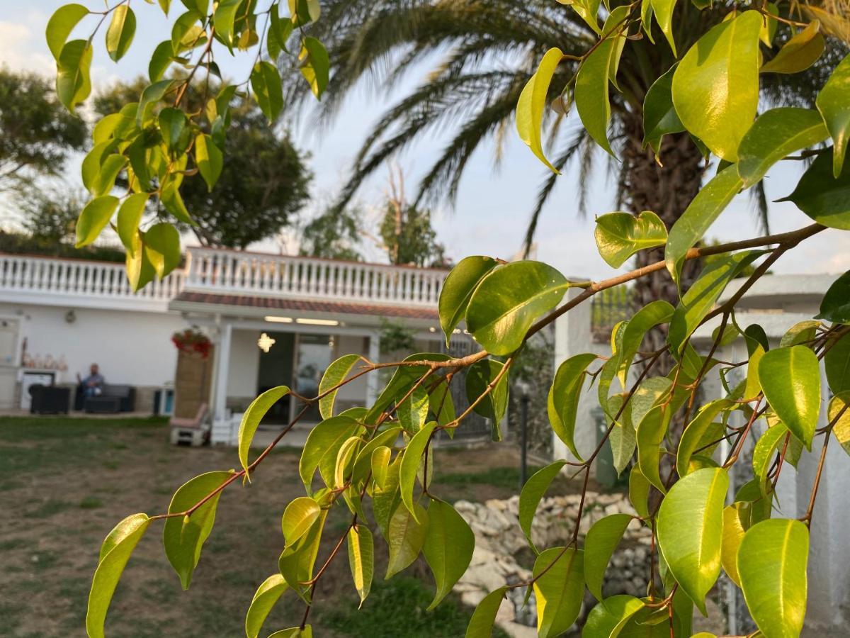 Apartment Mazzitelli Capo Vaticano